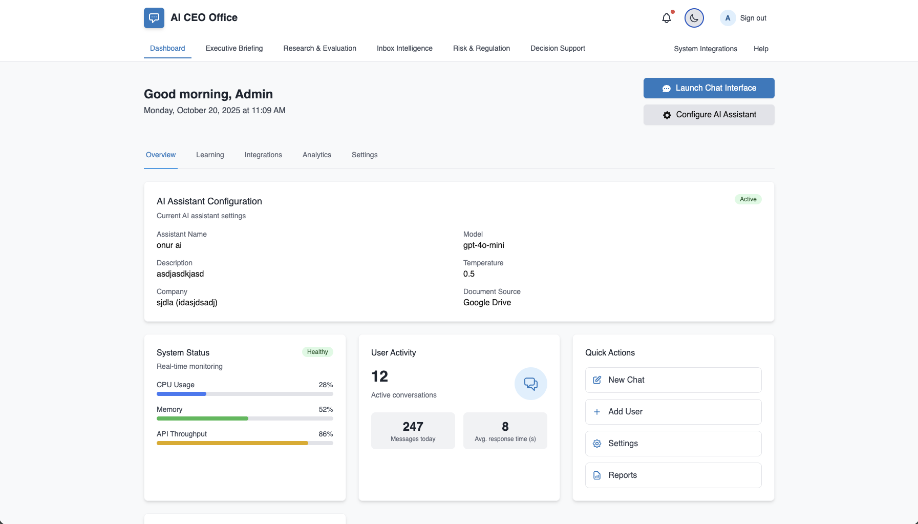 CEO Dashboard Overview